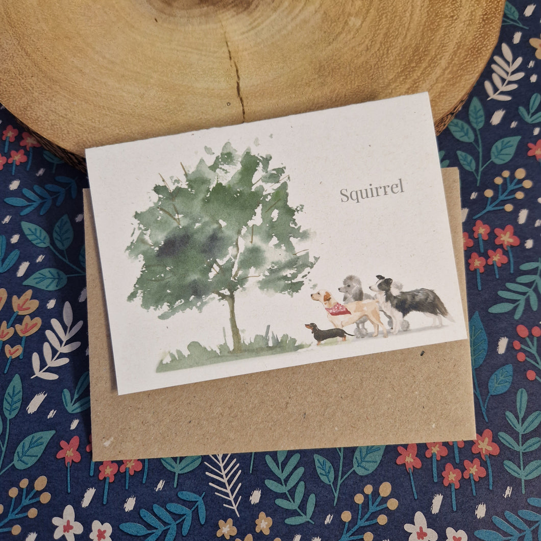 Squirrel - Greetings Card.