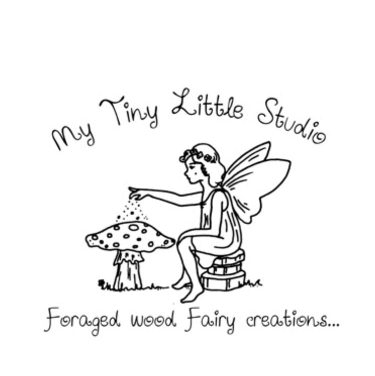 My Little Tiny Fairy Studio