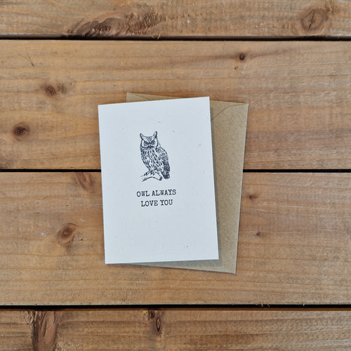 Owl - Greetings Card A7